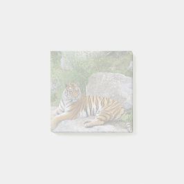 ポートレート写真：シベリアの虎 ポストイット