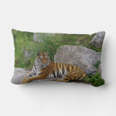 ポートレート写真:シベリアの虎 ランバークッション (裏面)