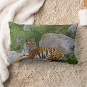 ポートレート写真:シベリアの虎 ランバークッション (ブランケット)