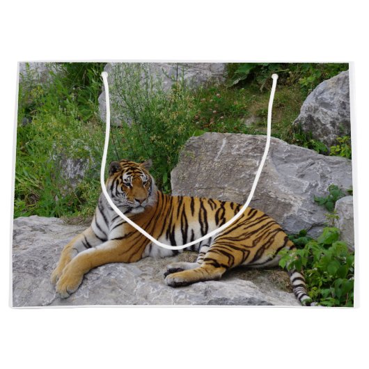 ポートレート写真：シベリアの虎 ラージペーパーバッグ (正面)