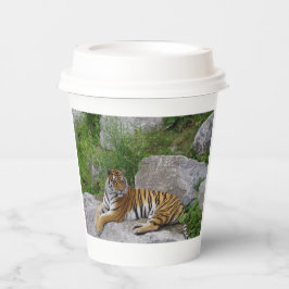 ポートレート写真：シベリアの虎 紙コップ