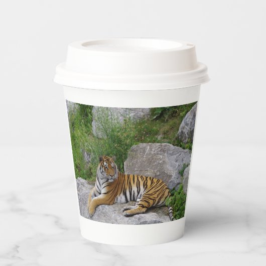 ポートレート写真:シベリアの虎 紙コップ (正面)