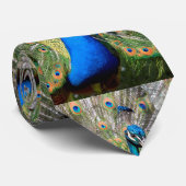 ポートレート孔雀ディスプレイ ネクタイ (ロール)