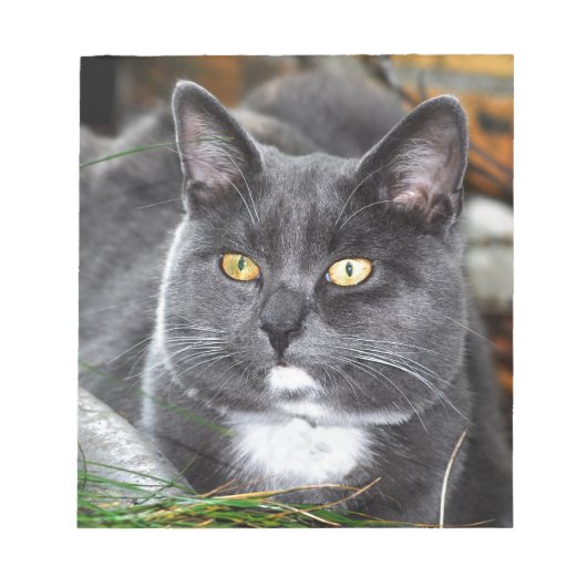 ポートレート猫 ノートパッド (正面)