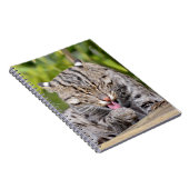 ポートレート猫 ノートブック (右側)