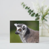 ポートレート環形雑音 ポストカード (スタンド正面)