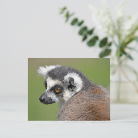 ポートレート環形雑音 ポストカード (スタンド正面)