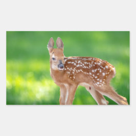 ポートレート生まれたばかりのの子鹿 長方形シール