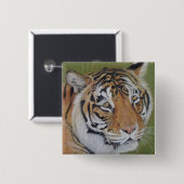 ポートレート絵画の虎の悲しい目の大きな猫 缶バッジ (正面&裏面)