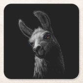 ポートレート頭かわいいラマと黒い背景 スクエアペーパーコースター (正面)