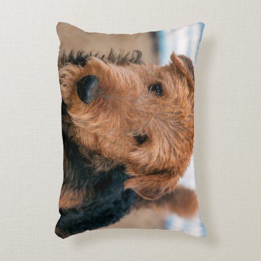 ポートレート・オブ・アイレデール・テリア アクセントクッション (正面(垂直))