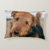 ポートレート・オブ・アイレデール・テリア アクセントクッション (裏面)