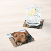 ポートレート・オブ・アイレデール・テリア スクエアペーパーコースター (インサイチュ)