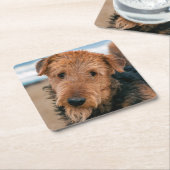 ポートレート・オブ・アイレデール・テリア スクエアペーパーコースター (アングル)