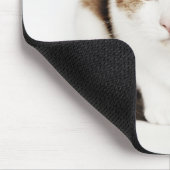 ポートレート・オブ・カリコ・キャット マウスパッド (コーナー)