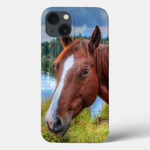 ポートレート・オブ・ソレルマーレ&シーニックレイクウマ科の写真 iPhone 13ケース