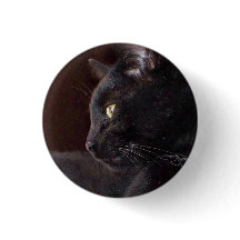 ポートレート・オブ・マイ・ボーイ、チャーリーボタン