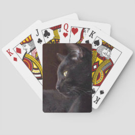 ポートレート・オブ・マイ・ボーイ、チャーリー・トランプ トランプ