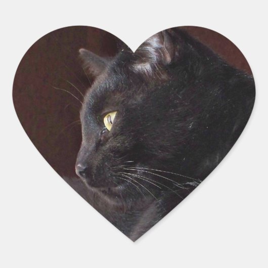 ポートレート・オブ・マイ・ボーイ，チャーリー・ハート・ステッカー ハートシール (正面)