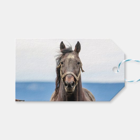 ポートレート ギフトタグ (正面(横))