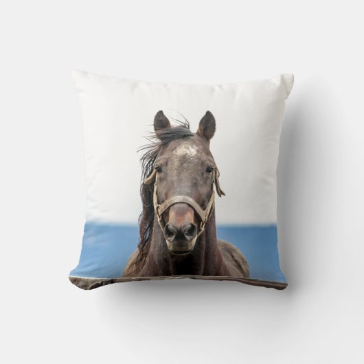 ポートレート クッション (正面)