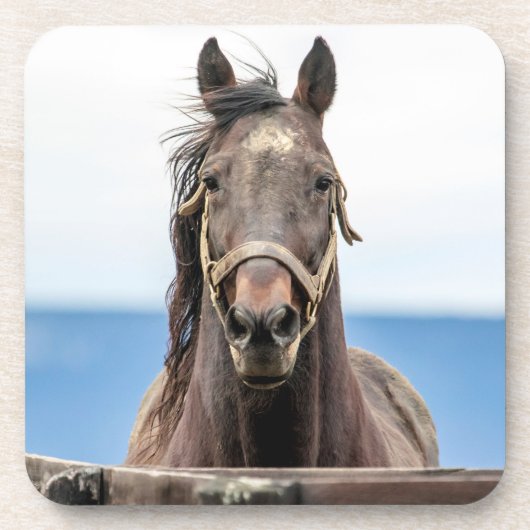 ポートレート コースター (正面)