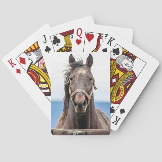 ポートレート トランプ (裏面)