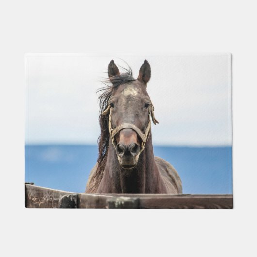 ポートレート ドアマット (正面)