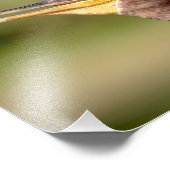 ポートレート フォトプリント            (角)