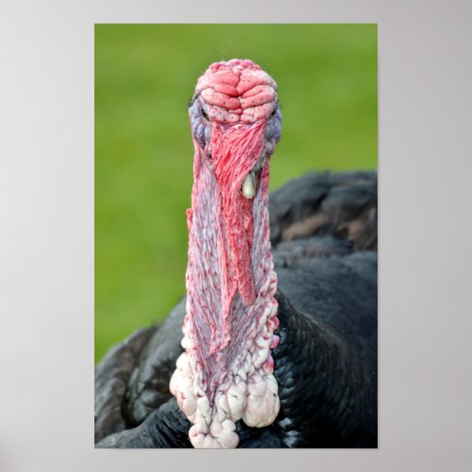 ポートレート ポスター (正面)