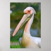 ポートレート ポスター (正面)