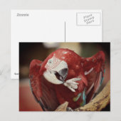 ポートレート ポストカード (正面/裏面)