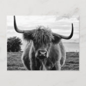 ポートレート ポストカード (正面)