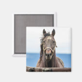 ポートレート マグネット (正面/裏面)