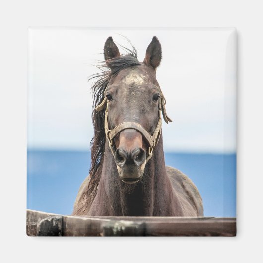 ポートレート マグネット (正面)