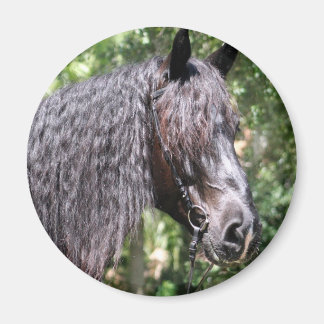 ポートレート マグネット