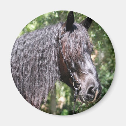 ポートレート マグネット (正面)