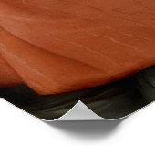 ポートレート(鳥)ショウジョウコウカンチョウ ポスター (角)