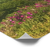 ポートOrford、または ポスター (角)