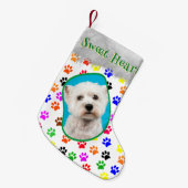 ポードッグ愛猫レディーペットフォカラフルトネームおもしろい スモールクリスマスストッキング (正面 (吊り時))