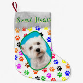 ポードッグ愛猫レディーペットフォカラフルトネームおもしろい スモールクリスマスストッキング (正面)