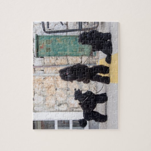 ポードルおもしろいジグソーパズル ジグソーパズル (縦)