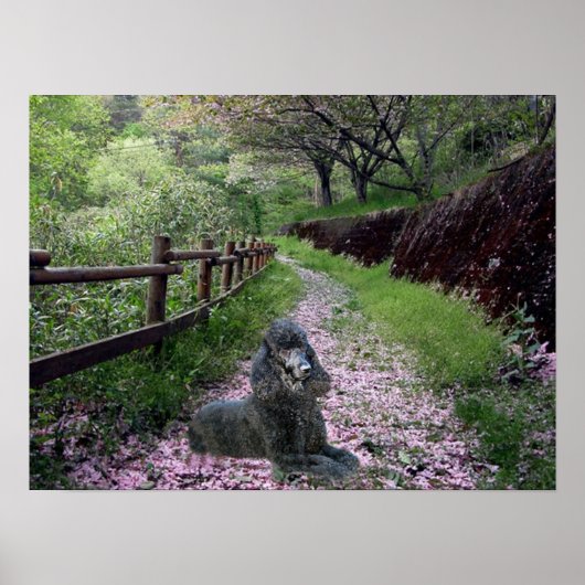 ポードルブラックポスターフラワー ポスター (正面)