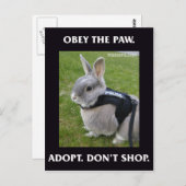 ポーハガキに従う ポストカード (正面/裏面)