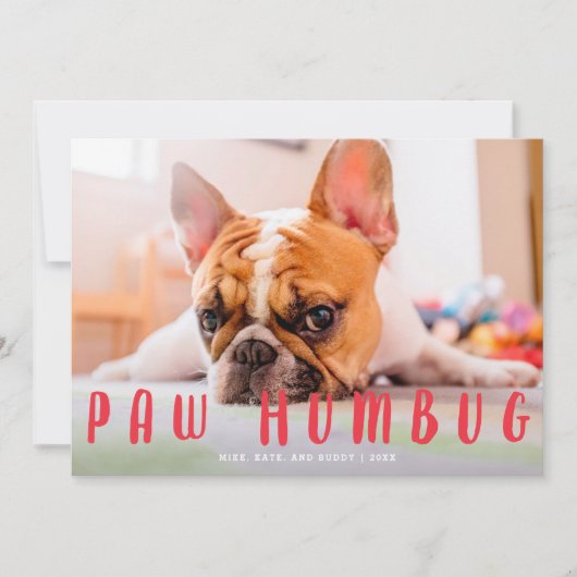 ポーハバグおもしろいかわいい犬の猫の休日フォトカード シーズンカード (正面)