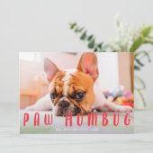 ポーハバグおもしろいかわいい犬の猫の休日フォトカード シーズンカード (スタンド正面)