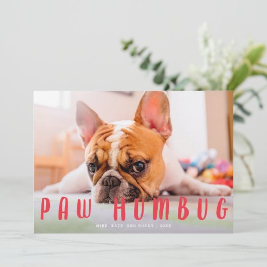 ポーハバグおもしろいかわいい犬の猫の休日フォトカード シーズンカード (スタンド正面)