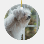 ポープリントサインペット記念パーソナライズされた写真 セラミックオーナメント (裏面)