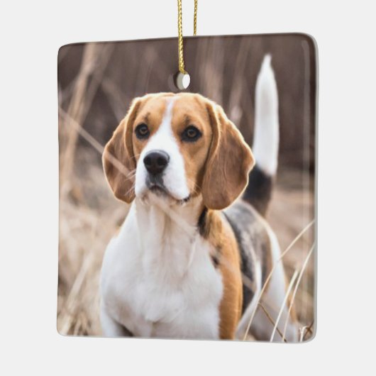ポープリントフォーエバーパーソナライズされたフォトペット記念館 セラミックオーナメント (左)
