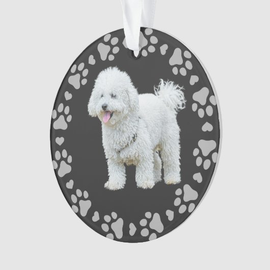 ポープリントフレームカスタムのペットフォト オーナメント (正面)